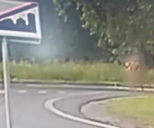 Lubin. Etiopczycy bez ubrań biegali po ulicach miasta