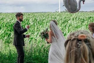 Ten balon przeleciał niemal tysiąc kilometrów. Niecodzienne odkrycie w lesie