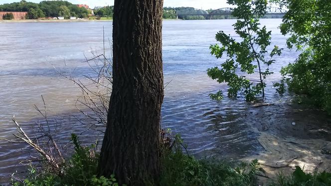 Jak wygląda sytuacja powodziowa w Toruniu?