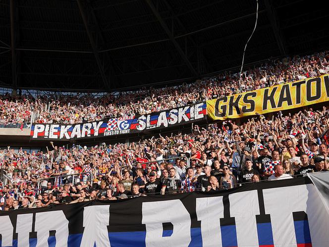 Górnik Zabrze - Wisła Kraków FOTORELACJA z meczu