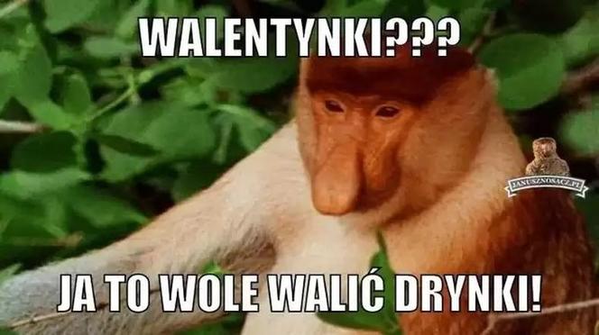 Memy na walentynki 2022 [GALERIA] 