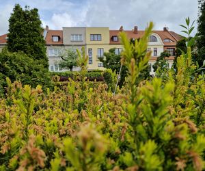 Sielanka, czyli zielona perła Bydgoszczy, o której mało kto pamięta!