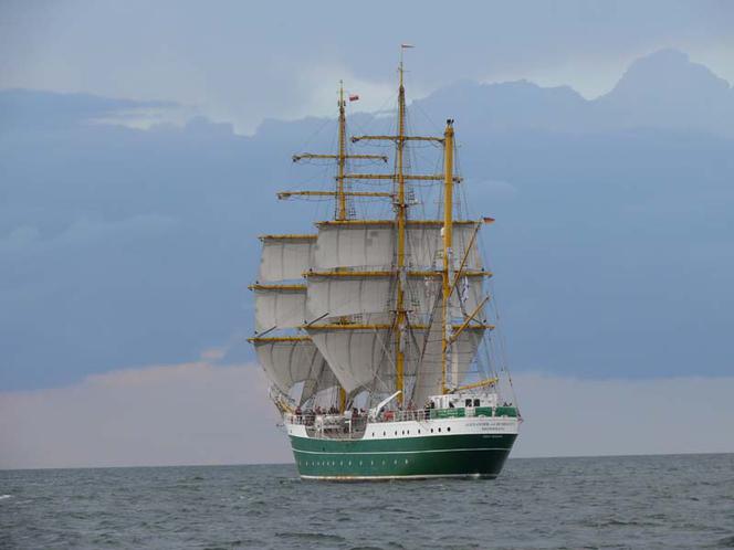 ParadaZagleGdyni2014_FotMZwierz_710313