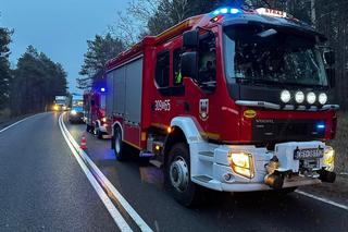 Drzewo runęło na jadące pojazdy na DK 10 pod Bydgoszczą! O krok od tragedii