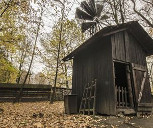 Skansen w Pszczynie obchodzi 50. urodziny. Jak powstał? 