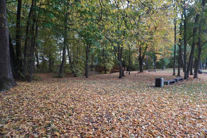 Park Lubomirskich w Białymstoku jesienią 