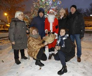 Dzielnicowe choinki w Gdańsku już świecą