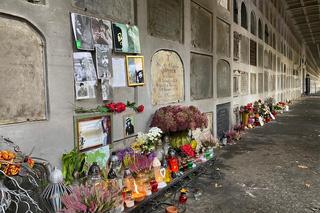 Czesław Niemen, tak wygląda jego grób po latach. Mamy zdjęcia