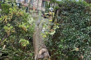 Gwałtowne burze przeszły nad Podkarpaciem 