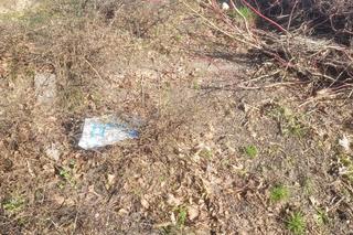 Tak źle jeszcze nie było? Olsztyn cały zaśmiecony. „Jest to problem dla właścicieli zwierząt i turystów”