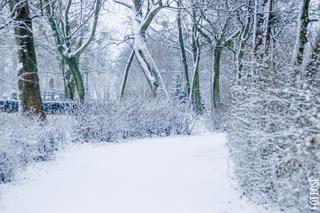 We wtorek przeżyjemy ATAK ZIMY! Co z bestią ze wschodu? [12.01.2021 PROGNOZA POGODY]
