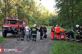 Akcja ratunkowa w Dolnie Kobylańskiej