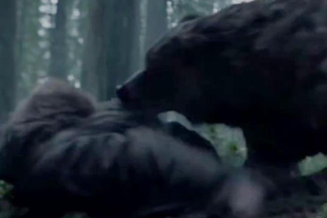 Zjawa – scena z niedźwiedziem była bardzo trudna! Leonardo DiCaprio