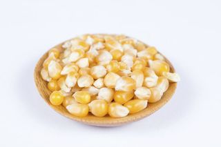 GMO i żywność modyfikowana genetycznie