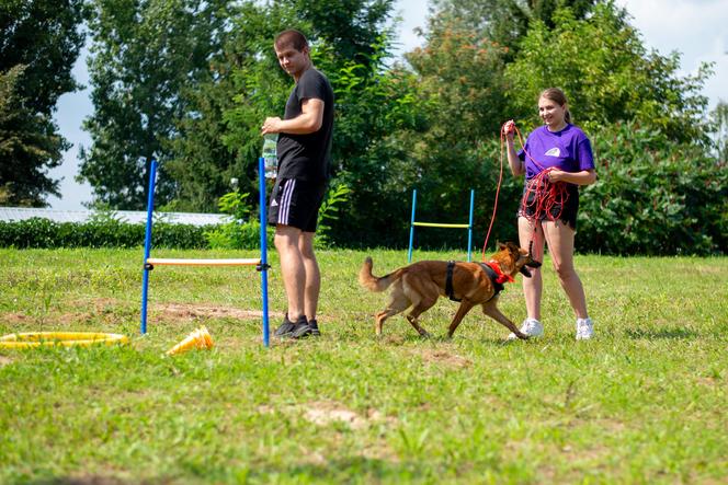 Wybieg dla psów w schronisku dla bezdomnych zwierząt w Zamościu - Kari