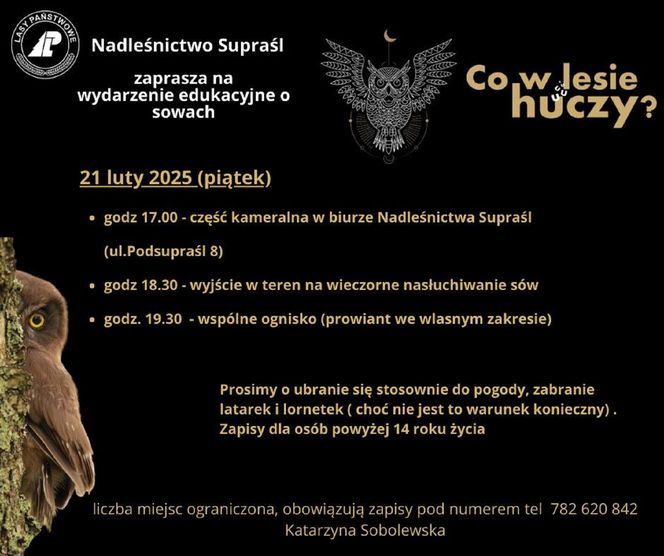 Co w lesie huczy? Spotkanie edukacyjne o sowach w Nadleśnictwie Supraśl