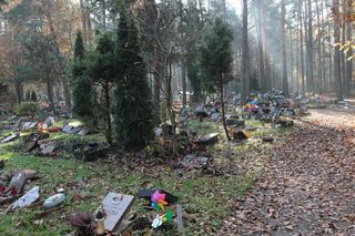 Niezwykły cmentarz pod Warszawą. To miejsce nasycone miłością i żalem. „Przychodzę tutaj co tydzień”