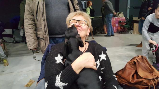 Międzynarodowa Wystawa Psów Rasowych w Bydgoszczy