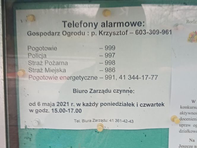 Rodzinny Ogród Działkowy "Kadzielnia" w Kielcach