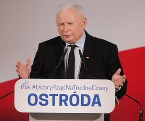 Ekspert ostrzega Kaczyńskiego. Mówi o dzikich fantazjach Rosji!