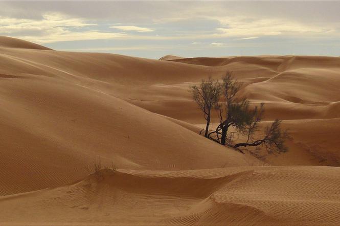 Sahara [zdjęcie ilustracyjne]
