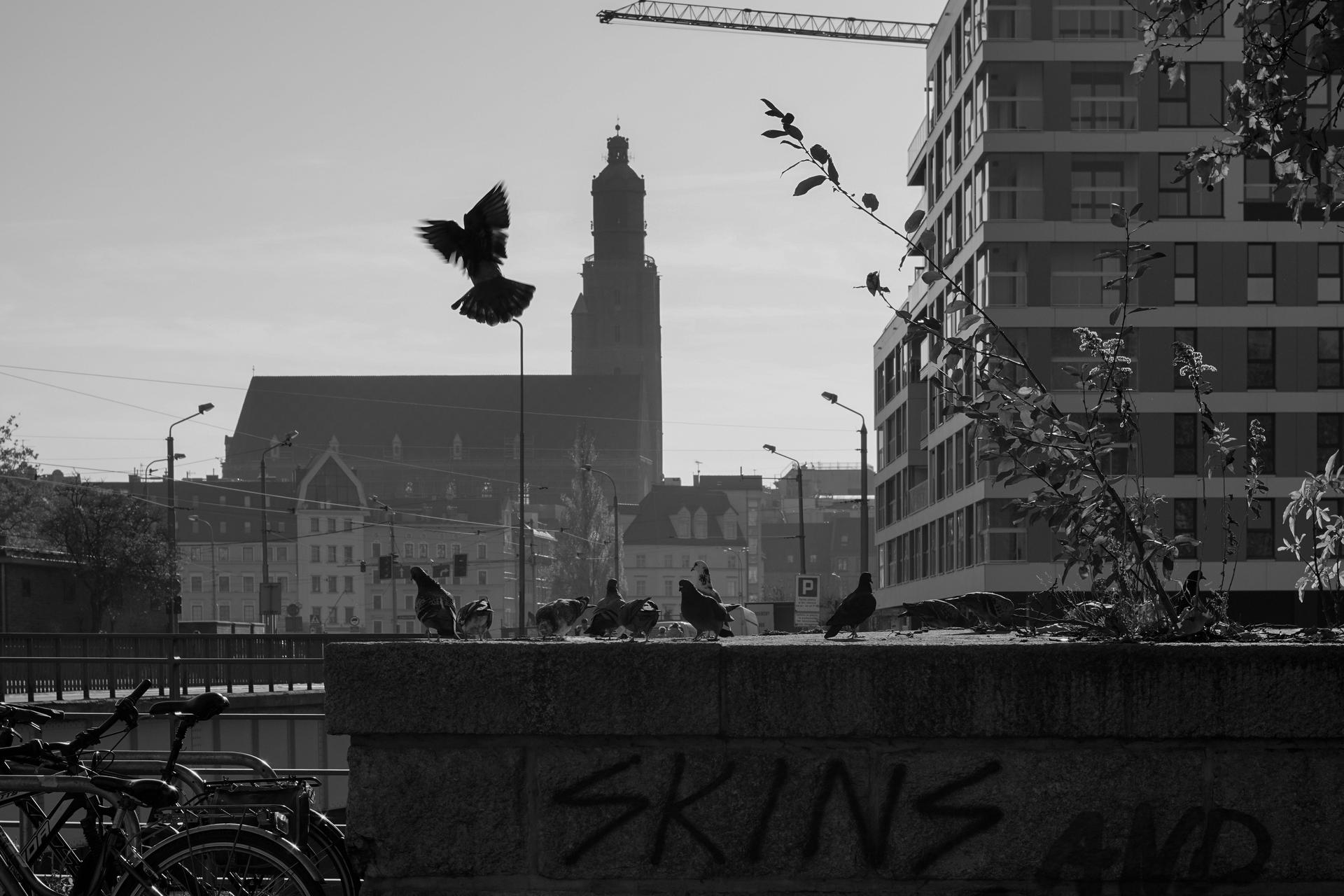 Koło naukowe ArchiW1zje