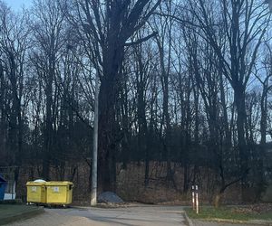 Puławy: 18-latek i jego kolega zaatakowali dwóch mężczyzn. Trafili do aresztu