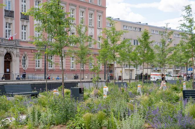 Tak wygląda plac Nowy Targ we Wrocławiu. Prace są już na ostatniej prostej