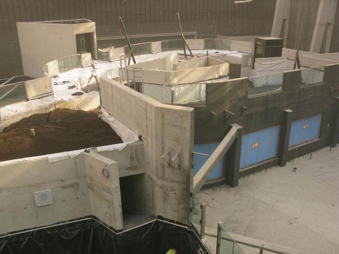 Afrykarium we Wrocławiu: drenaż