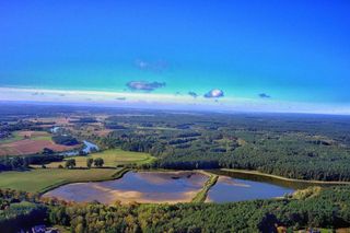 4. Mokradła w okolicach Puszczy Noteckiej