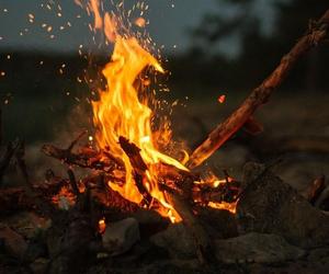 Pieczone pianki, filmowy maraton i wiele innych. Już dziś Noc w Muzeum!