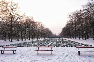 Zabieliły się łódzkie parki [ZDJĘCIE DNIA]