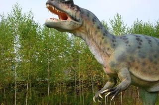 Dinozaury w Polsce. Najlepsze parki dinozaurów w Polsce. Gdzie żyły polskie dinozaury?