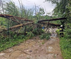 Burze i nawałnice nad Podkarpaciem. Strażacy interweniowali prawie 500 razy [ZDJĘCIA]