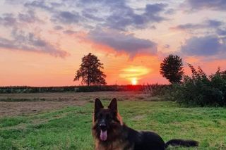 Oto urocze psiaki naszych Czytelników!