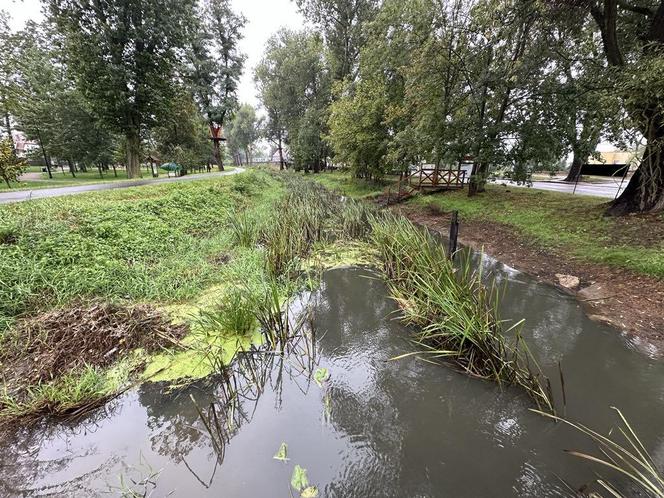 Odolanów czeka na wielką wodę