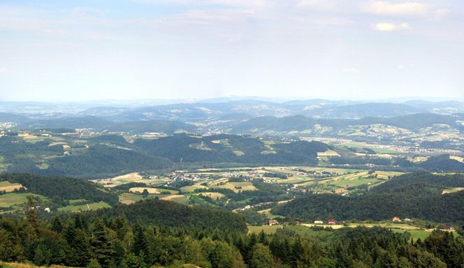 Panorama z wieży na Jaworzu