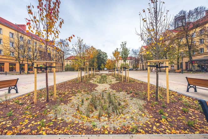 Plac Baczyńskiego w Tychach po przebudowie. Mniej betonu, więcej zieleni