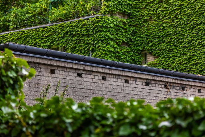 Willa Romualda Gutta na Kolonii Profesorskiej w Warszawie