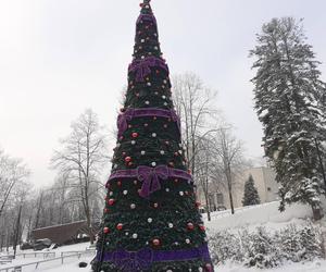 Starachowice w zimowej szacie