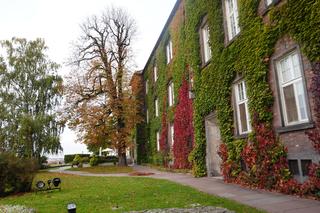 Oto najlepsze miejsca na randkę w Krakowie!