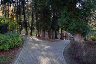 AI wybrała najpiękniejszy park na Podkarpaciu. To miejsce, gdzie spacer staje się wyjątkową podróżą