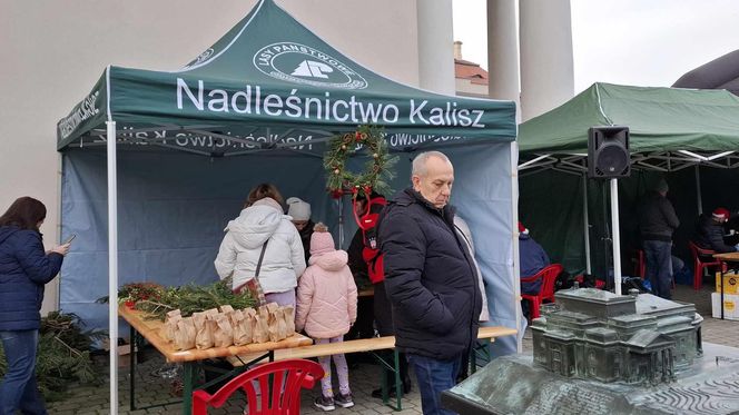 Udekorowana choinka stanęła na środku rzeki w Kaliszu