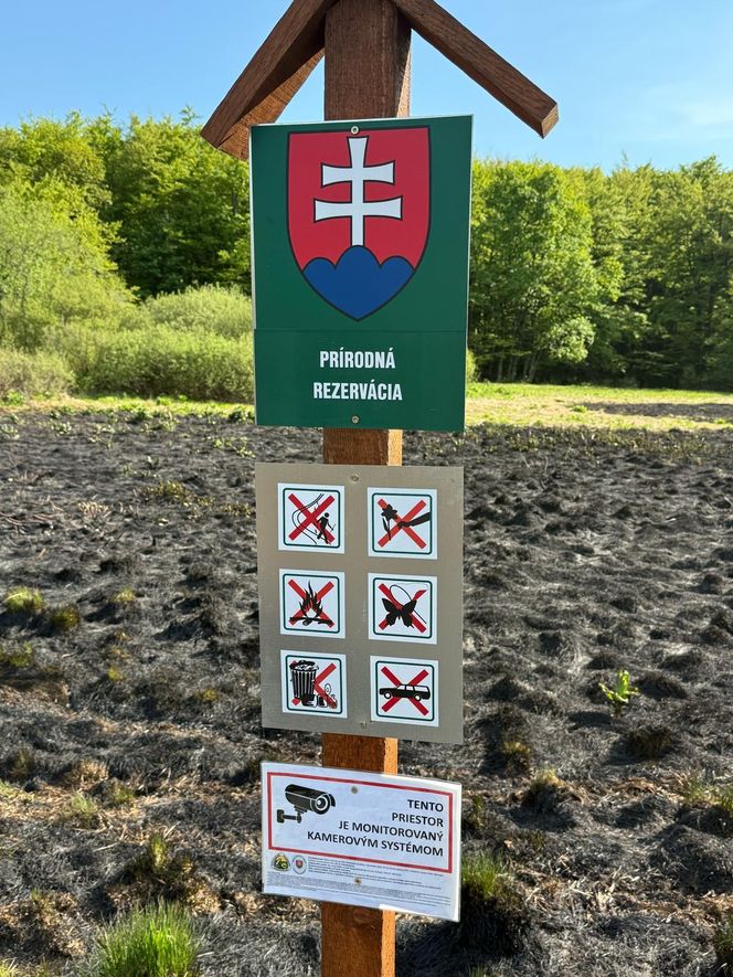 Duży pożar na pograniczu polsko-słowackim. Na miejscu pracuje wiele zastępów straży pożarnej