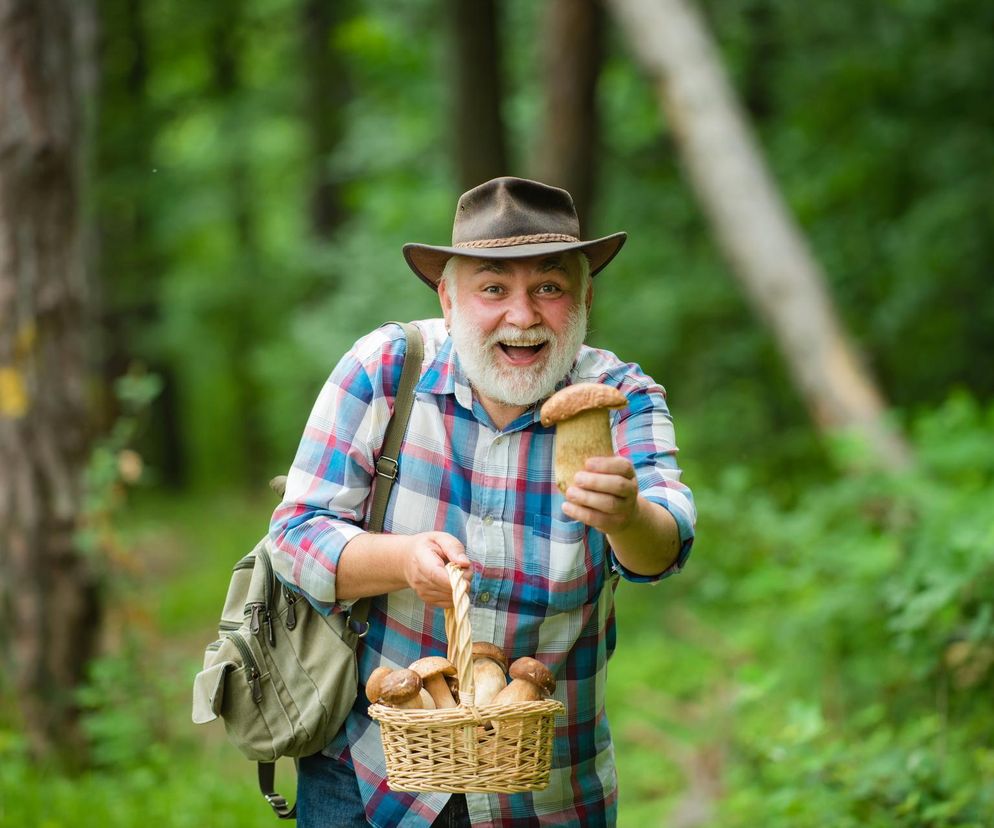 Jak zbierać grzyby? Tym sposobem zapełnisz cały koszyk!