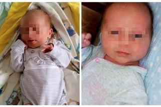 To Zosię wesprą żałobnicy żegnający małego Oliwierka Rzeźniczaka. Wzruszający gest Magdaleny Stępień