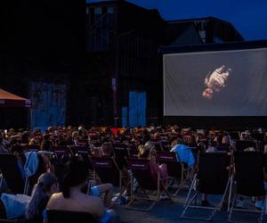 Do Dąbrowy Górniczej powróciło bezpłatne kino letnie. Co będzie grane w ramach plenerowych seansów? 