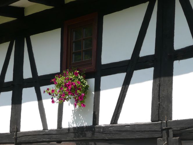 Remont domu szachulcowego w Płóczkach Górnych (Dolny Śląsk)