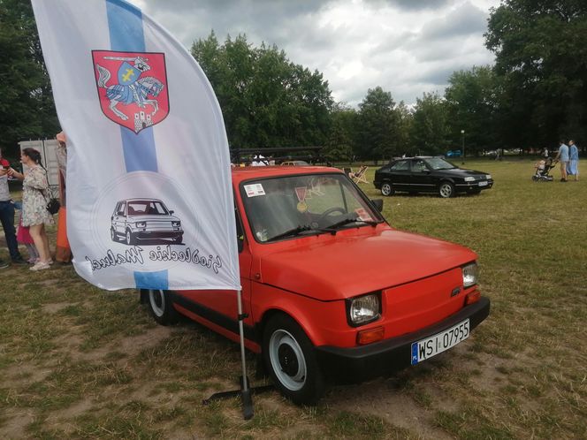 Siedlce: 16. Zlot Pojazdów Zabytkowych „Mrowisko”