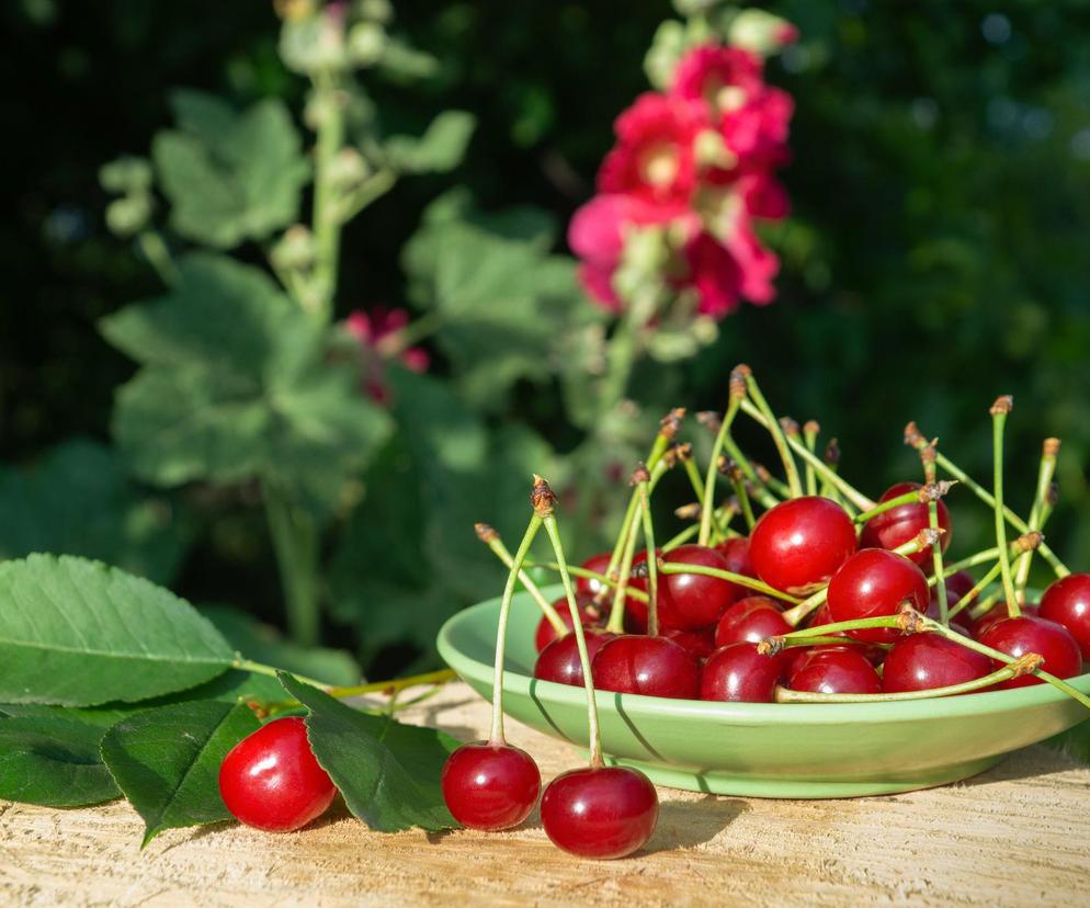 Ogonki z czereśni na odchudzanie. Jak to działa?
